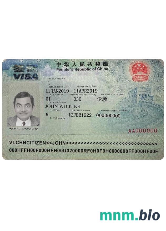 China visa version 2